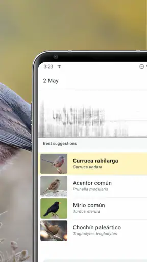 Merlin Bird ID de Cornell Lab screenshot