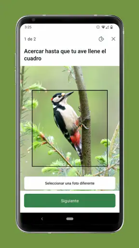 Merlin Bird ID de Cornell Lab screenshot