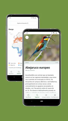 Merlin Bird ID de Cornell Lab screenshot