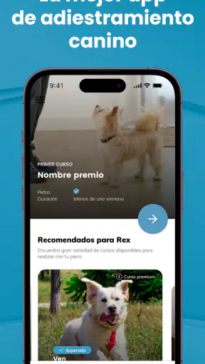 Mister Cooper – Dog Trainer screenshot