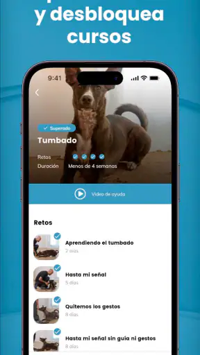 Mister Cooper – Dog Trainer screenshot
