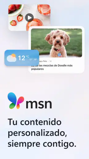 MSN screenshot