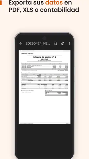 N2F - Gestión de gastos screenshot