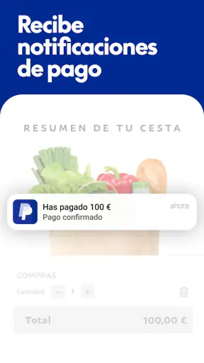 PayPal screenshot
