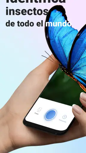 Picture Insect - Insectos ID screenshot