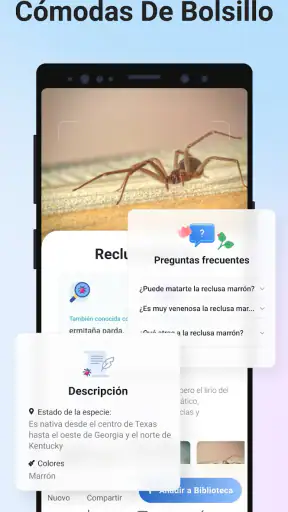 Picture Insect - Insectos ID screenshot
