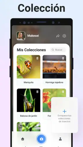 Picture Insect - Insectos ID screenshot