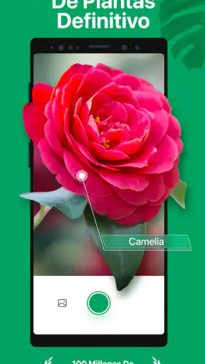 PictureThis Identificar Planta screenshot