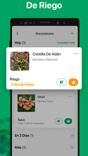 PictureThis Identificar Planta screenshot