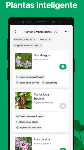 PictureThis Identificar Planta screenshot