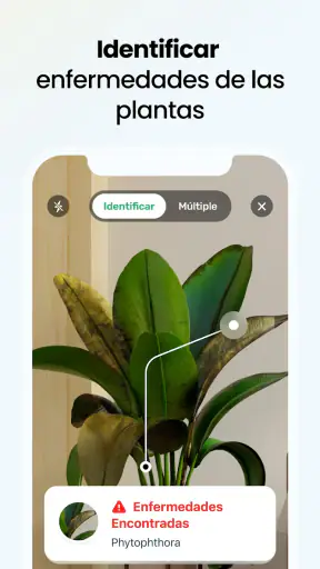 Plant App - Buscador de Planta screenshot