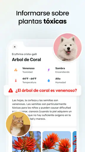 Plant App - Buscador de Planta screenshot