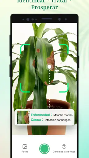Plant Parent - Guía de cuidado screenshot