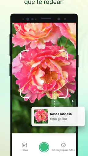 Plant Parent - Guía de cuidado screenshot