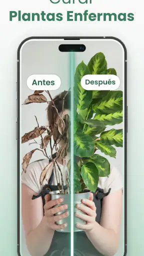 Plantify Identificador Plantas screenshot