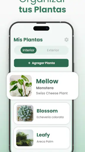 Plantify Identificador Plantas screenshot