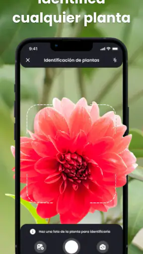 PlantIn: Cuidado de plantas screenshot