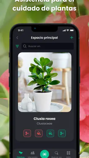 PlantIn: Cuidado de plantas screenshot