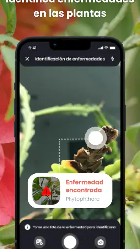 PlantIn: Cuidado de plantas screenshot