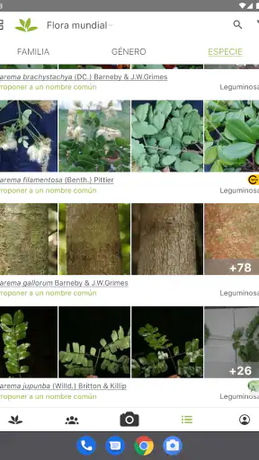 PlantNet Identifica Plantas screenshot