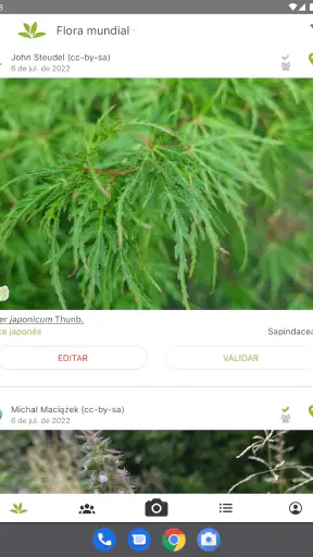 PlantNet Identifica Plantas screenshot