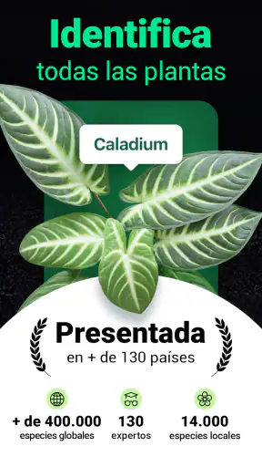 Plantum - Identificar plantas screenshot