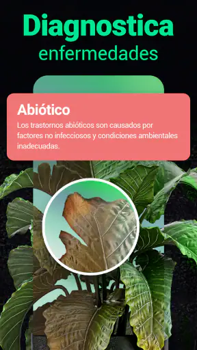 Plantum - Identificar plantas screenshot