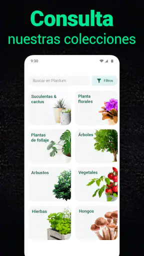 Plantum - Identificar plantas screenshot