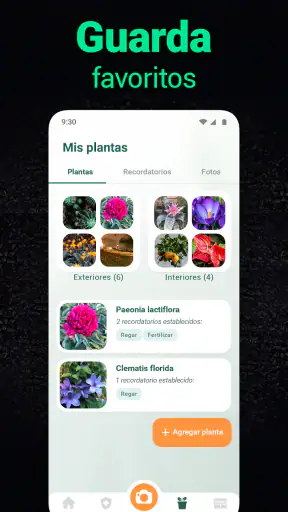 Plantum - Identificar plantas screenshot