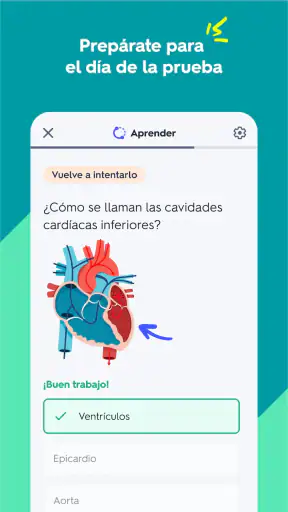 Quizlet: fichas creadas con IA screenshot