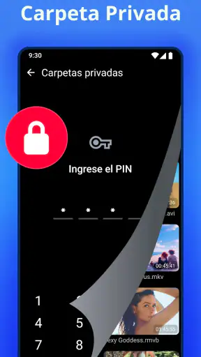 Reproductor de video screenshot