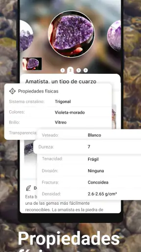 Rock Identifier: Escanear Roca screenshot