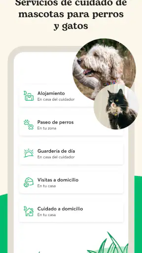 Rover - Cuidadores de perros screenshot
