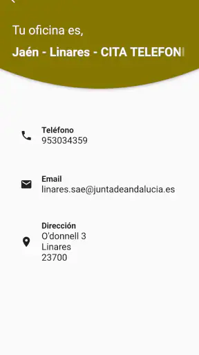 SAE. Servicio Andaluz de Emple screenshot