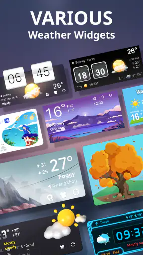 Tiempo En Vivo° screenshot