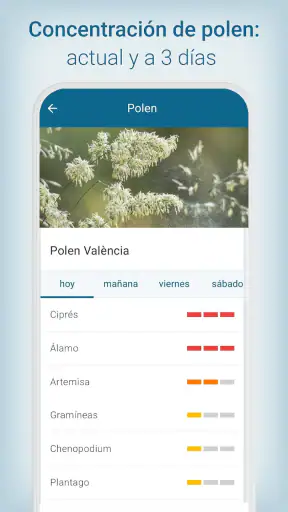 Tiempo & Radar: tu previsión screenshot