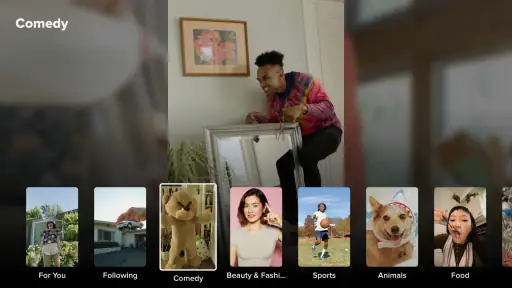 TikTok screenshot