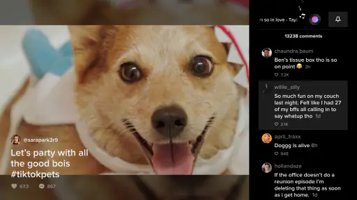 TikTok screenshot