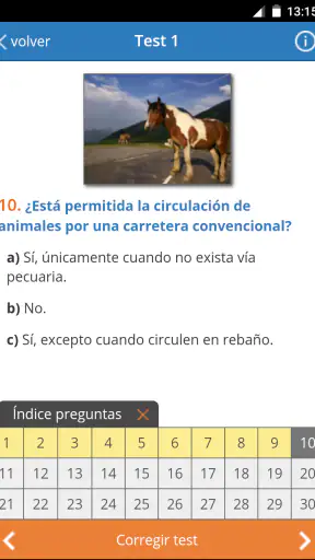 TodoTest: Test de conducir screenshot