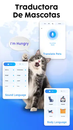 Traductor de Pantalla Fácil screenshot