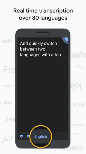 Transcripción instantánea screenshot
