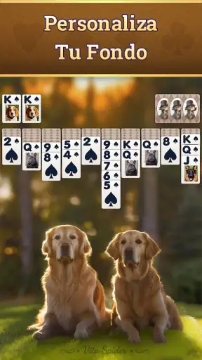 Vita Spider Solitaire screenshot