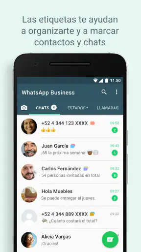 WhatsApp Business screenshot