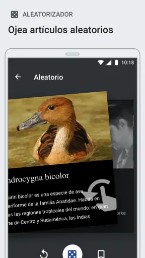 Wikipedia screenshot