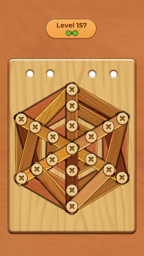 Wood Screw Puzzle screenshot
