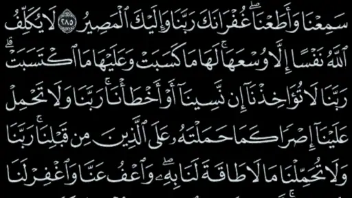القرآن الكريم - مصحف المدينة screenshot