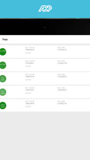 ADP Mobile Solutions screenshot