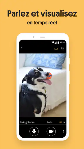 Alfred Caméra de Surveillance screenshot