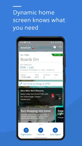 American Airlines screenshot