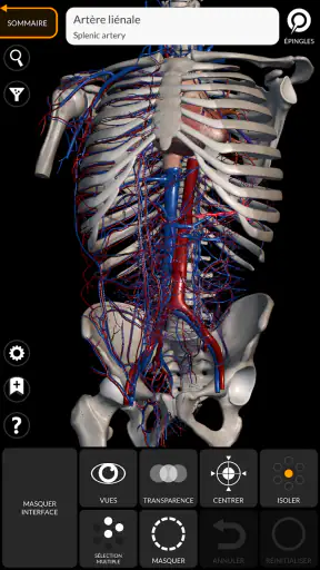 Anatomie - Atlas 3D screenshot
